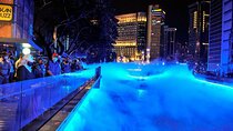 Kuala Selangor Fireflies Tour From Kuala Lumpur