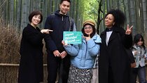 Kyoto Customized Private Tour: See Top Attractions in 1 Day