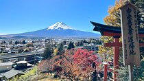 1-Day Tokyo Bus Tour