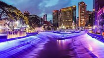 Kuala Selangor Fireflies Tour From Kuala Lumpur