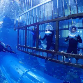 Lost World Aquarium Ticket in Atlantis Dubai