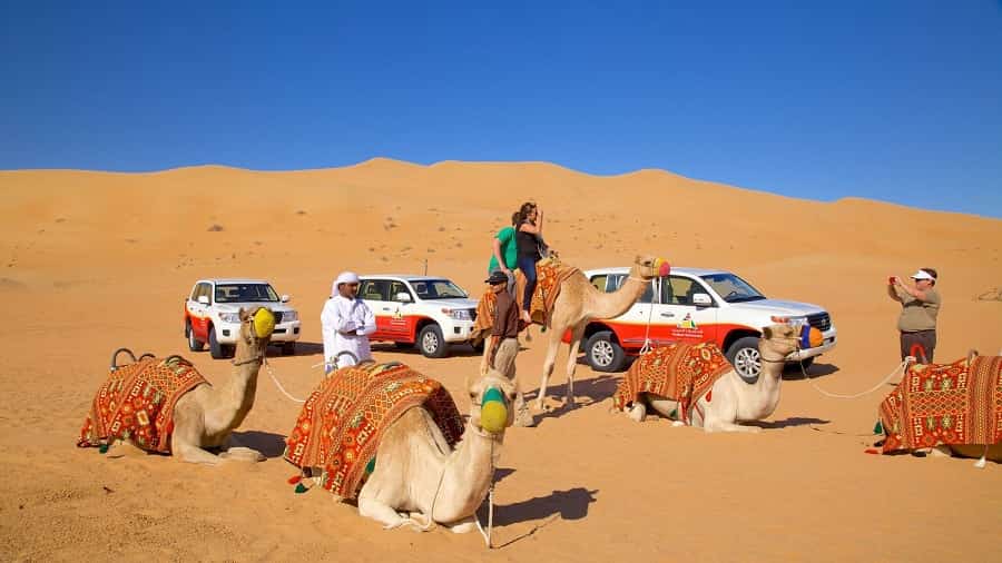 Desert Safari Tours in Dubai - Morning, Evening and Overnight