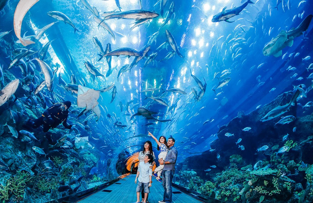 Dubai Aquarium and Underwater Zoo At Dubai Mall