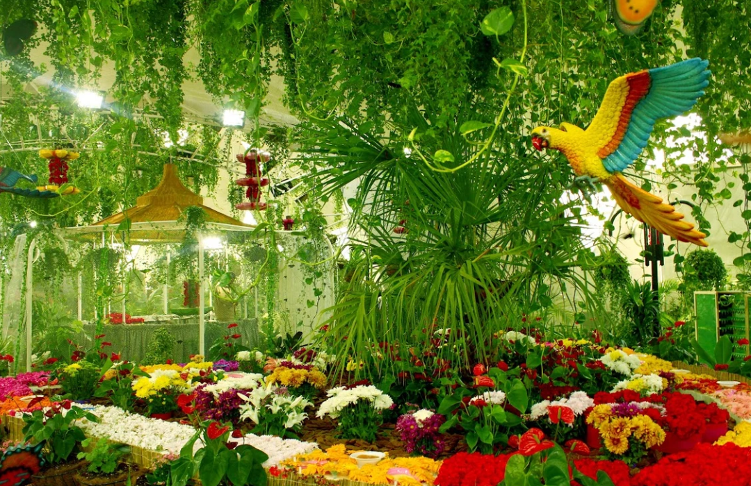 Dubai Butterfly Garden Ticket