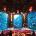 Lost World Aquarium Ticket in Atlantis Dubai