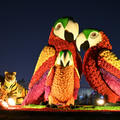 Dubai Garden Glow Ticket