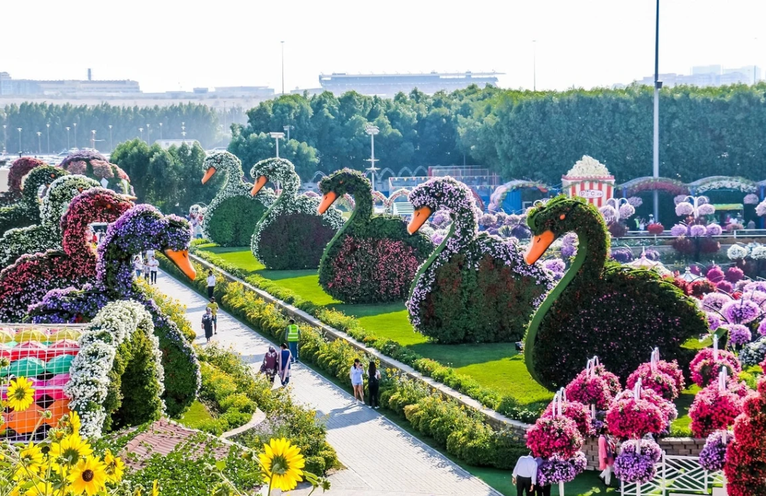 Dubai Miracle Garden Ticket