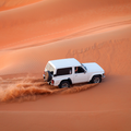 Best Desert Safari Tours in Dubai