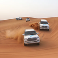 Premium Desert Safari - Morning, Evening & Overnight at Al Khayma