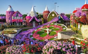 Dubai Miracle Garden Ticket