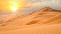 Combo Tour - Dubai Desert Safari and Dhow Cruise Dinner