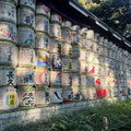 Tokyo: Meiji Shrine and Shinto Culture Walking Tour