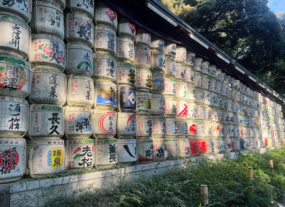 Tokyo: Meiji Shrine and Shinto Culture Walking Tour