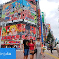 Tokyo Private Customized Walking Tour (Option Car Tour Available)