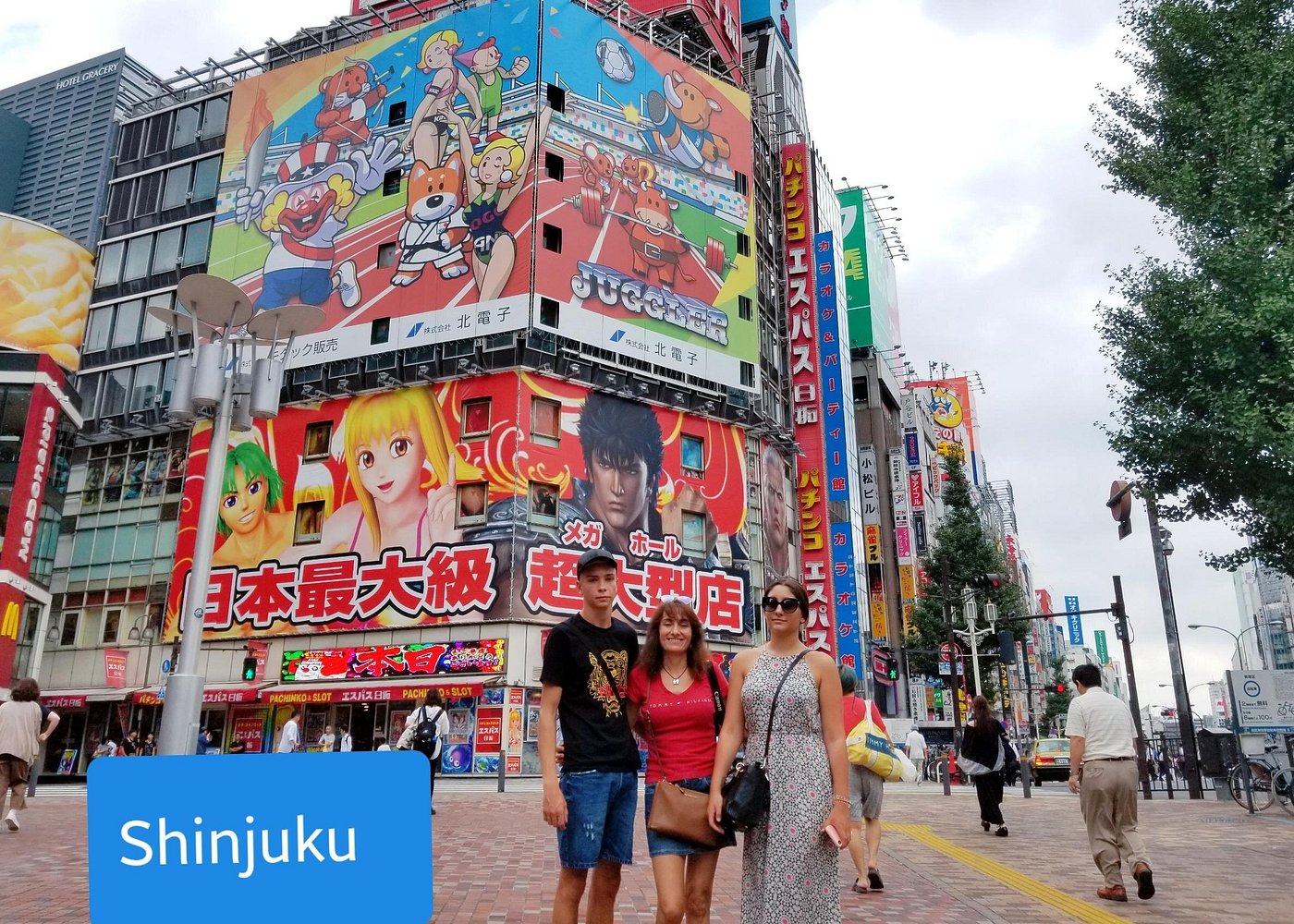 Tokyo Private Customized Walking Tour (Option Car Tour Available)
