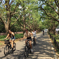 Small Group Cycling Tour in Tokyo