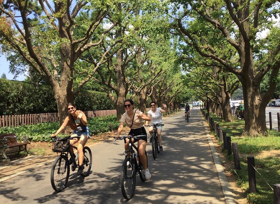 Small Group Cycling Tour in Tokyo