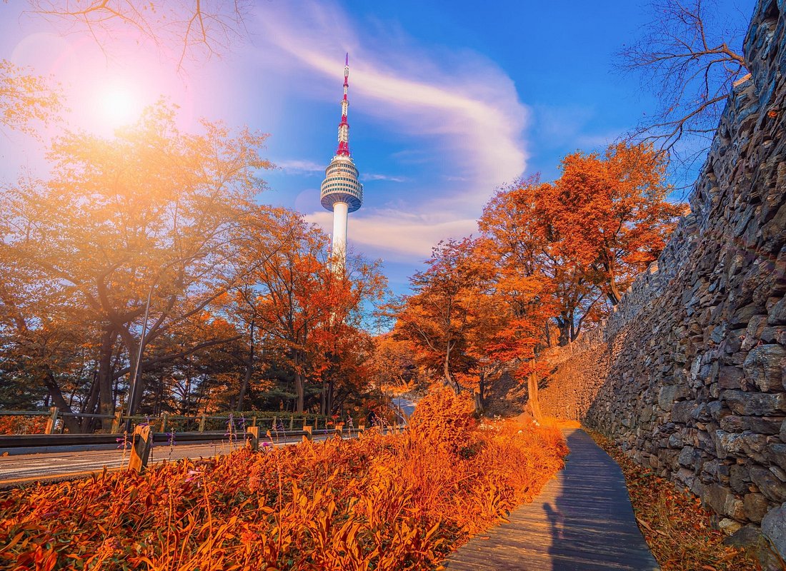 South Korea: N Seoul Tower Observatory Ticket