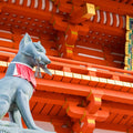 One-Day Tour of Kyoto's Highlights from Osaka/Kyoto