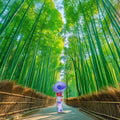 From Kyoto / Osaka: Kyoto Must-see Spots & Nara Park One Day Tour