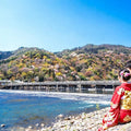 Luxury Kyoto 1-Day Private Car Tour with Nara & Osaka Options