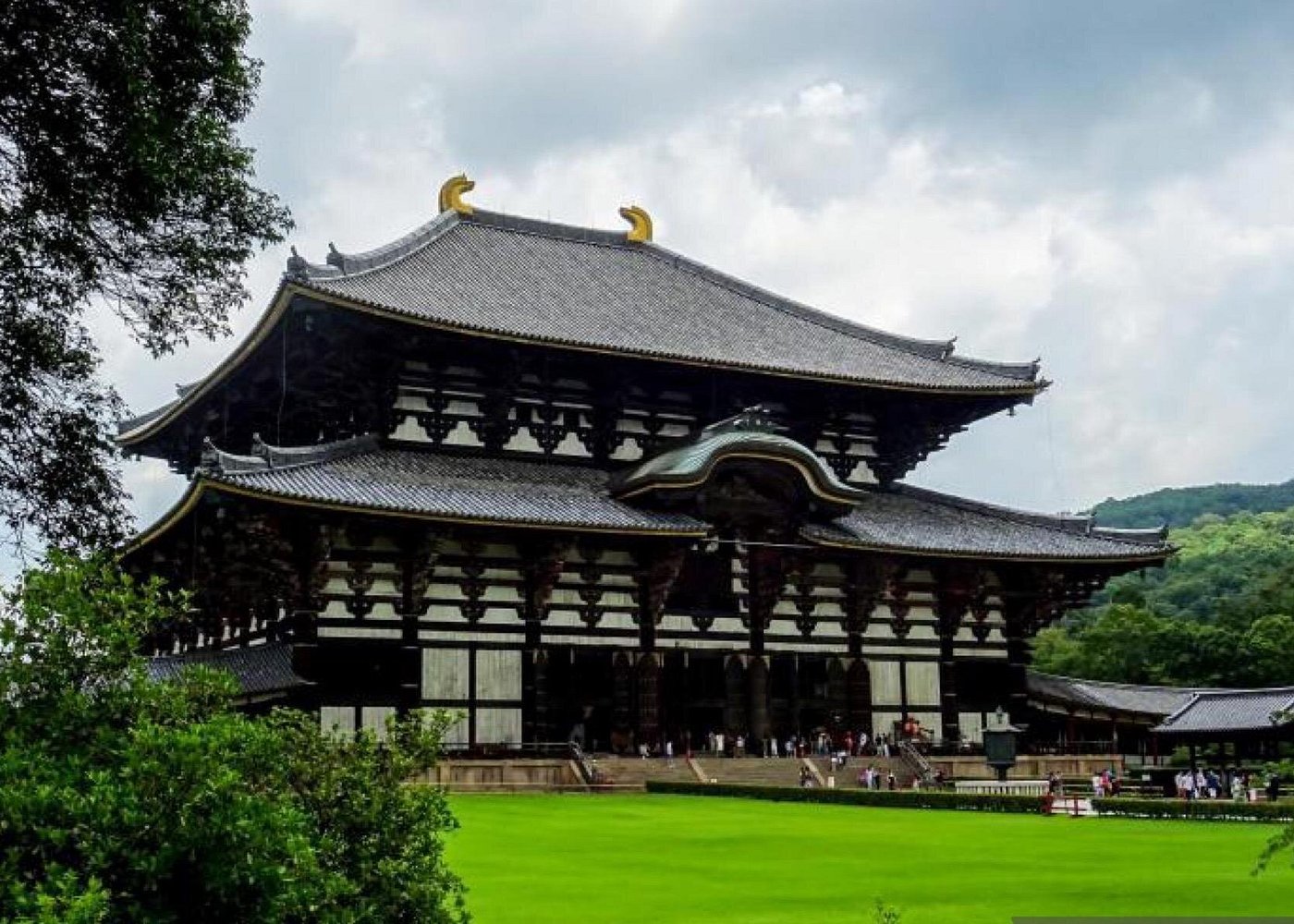 Private Tour Kyoto-Nara w/Hotel Pick Up & Drop off from Kyoto