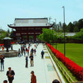 Private Tour Kyoto-Nara w/Hotel Pick Up & Drop off from Kyoto