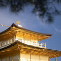 Kyoto Early Morning Tour with English-Speaking Guide
