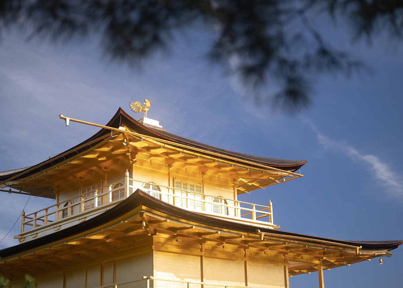 Kyoto Early Morning Tour with English-Speaking Guide