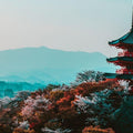 Kyoto Custom Private Walking Tour with A Guide (Private Tour)