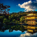 Private Kyoto Customizable Day Tour with English Speaking Driver