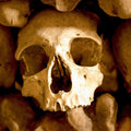 Paris Catacombs Tour