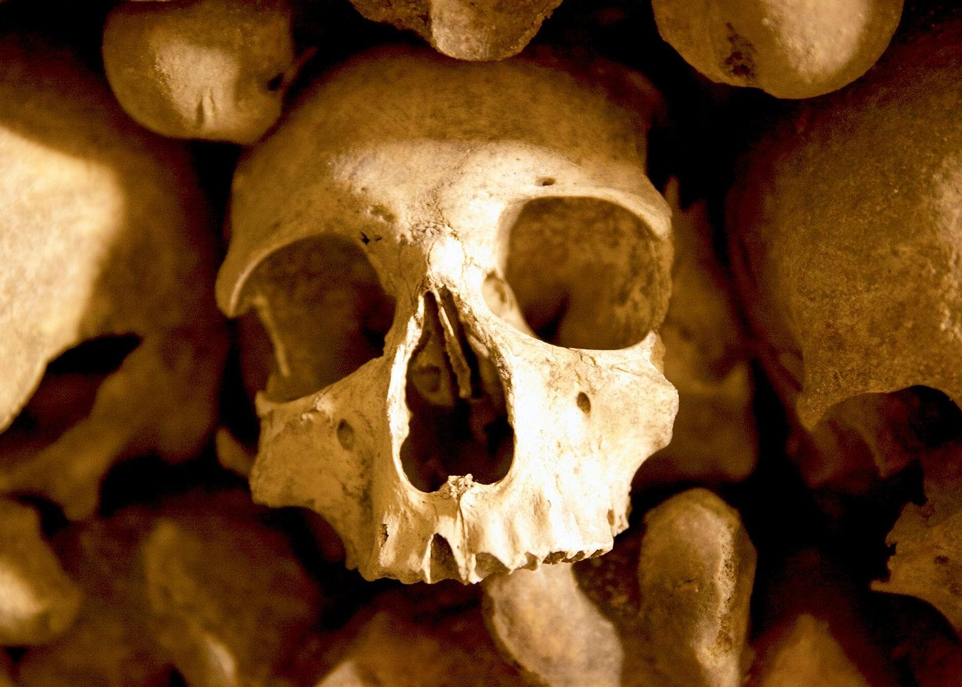 Paris Catacombs Tour