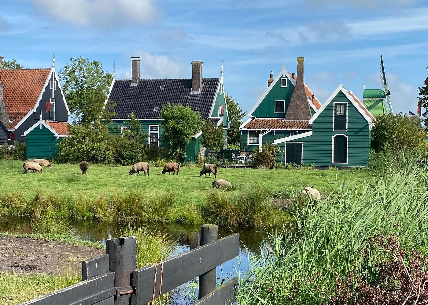 Discover The Netherlands Tour (from Amsterdam)