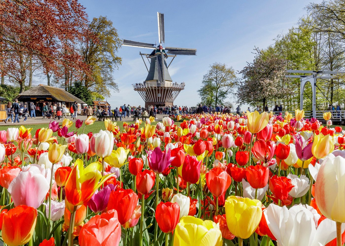 Amsterdam: Keukenhof Tulip Gardens and Giethoorn with Boat Tour