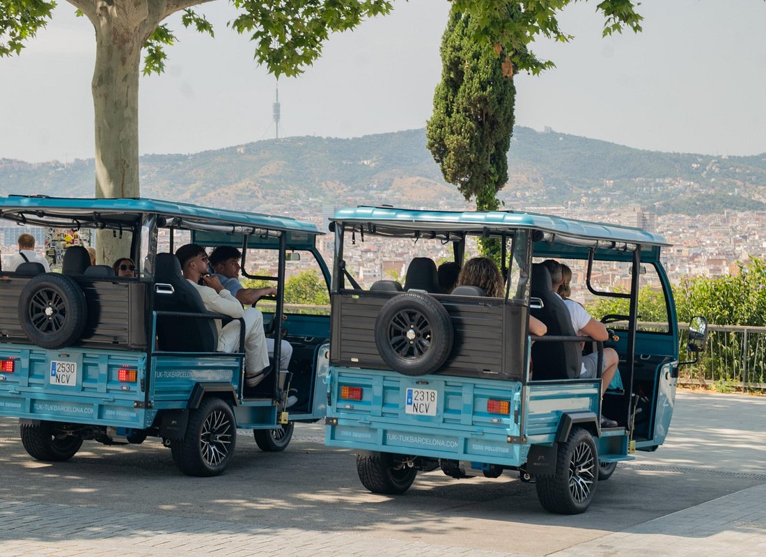 Barcelona Panoramic Private Tuk Tuk Tour