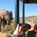 Big Five Safari Experience Near Cape Town ,South Africa