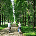 Versailles Bike Tour with Market, Gardens & Guided Palace Tour