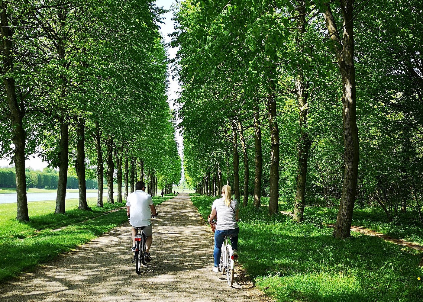 Versailles Bike Tour with Market, Gardens & Guided Palace Tour