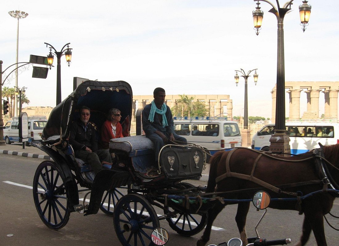Explore Luxor in amazing City Tour, guide / Horse carriage