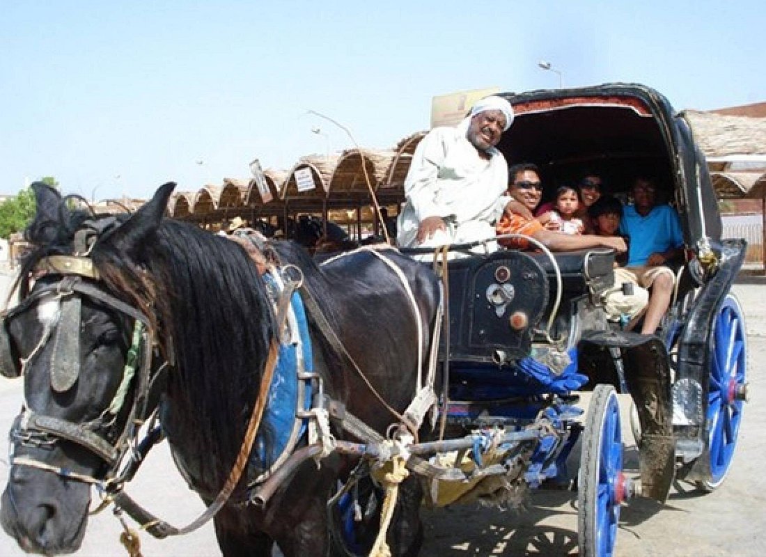 Explore Luxor in amazing City Tour, guide / Horse carriage