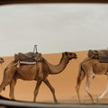 Marrakech To Merzouga Tour