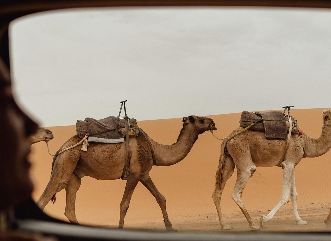 Marrakech To Merzouga Tour