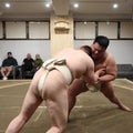 Tokyo Shinjuku Sumo Show & Experience with Photo,