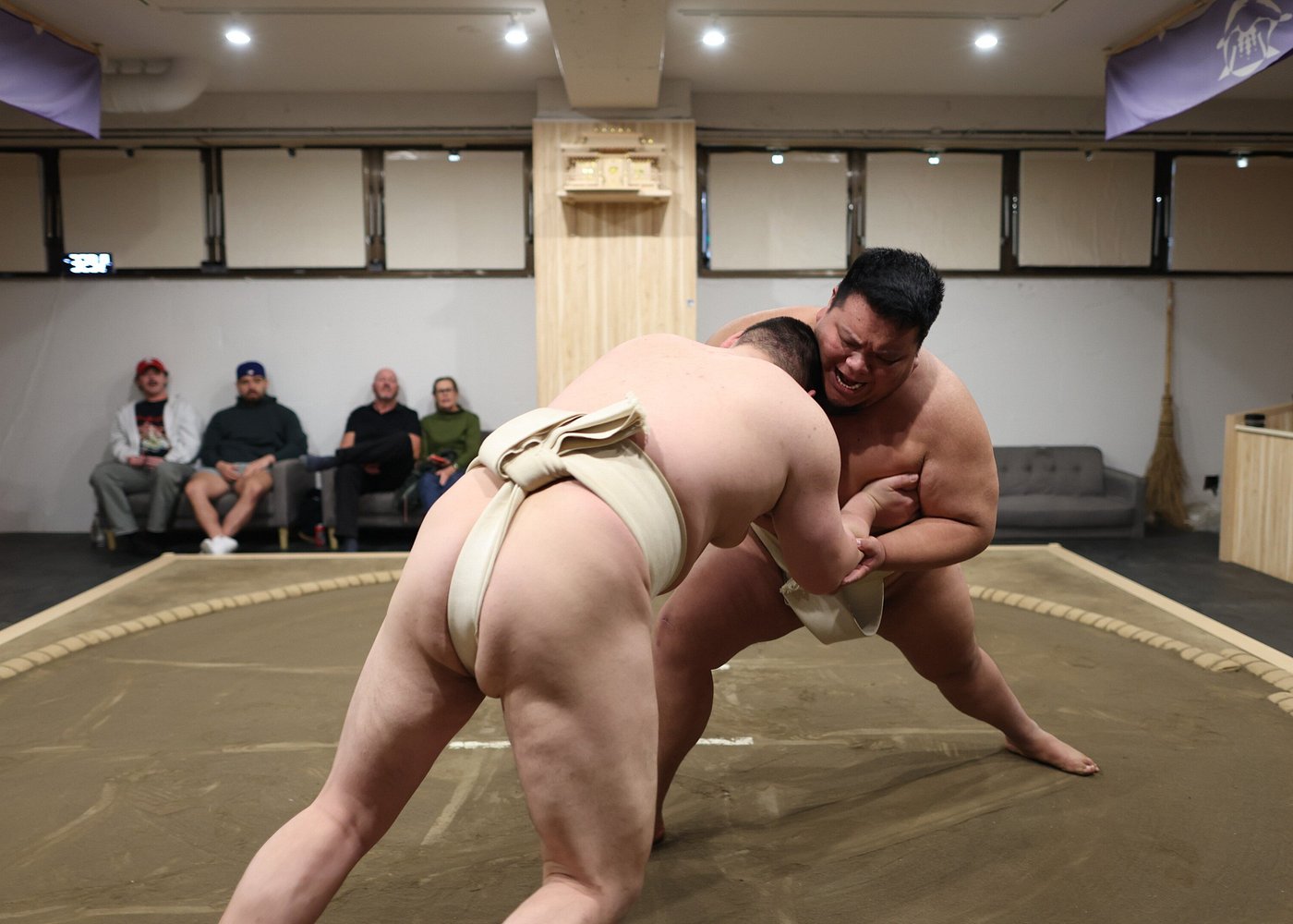 Tokyo Shinjuku Sumo Show & Experience with Photo,
