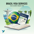 Brazil Visa Service